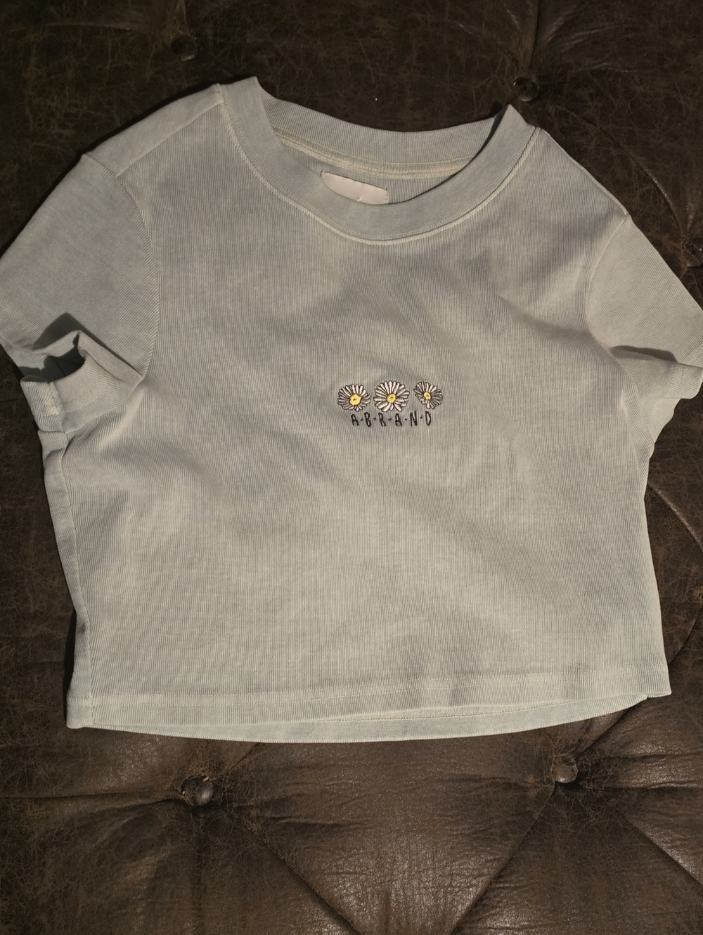 Abrand Sage Green Daisy Crop Tee